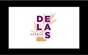 delas_sebrae2